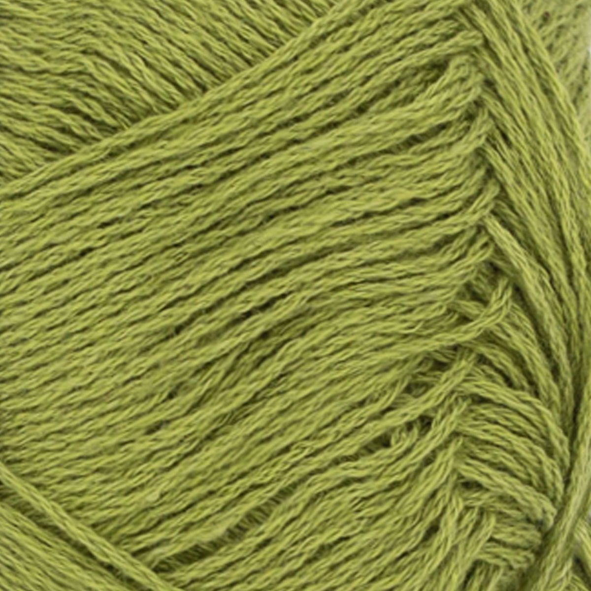 Tynn Line - 9564 Matcha